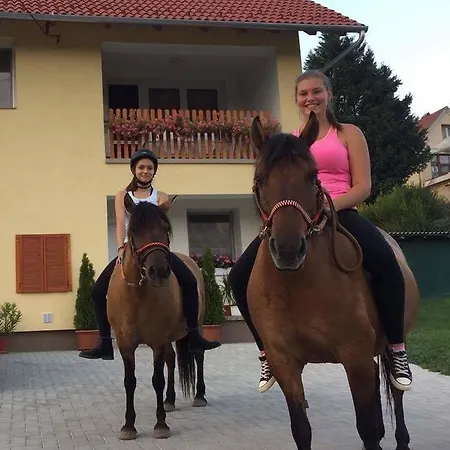 Lotuszvirag Vendeghaz