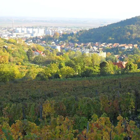Lotuszvirag Vendeghaz Guest house Szekszard