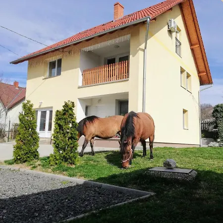 Lotuszvirag Vendeghaz 3*