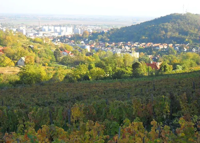 Lótuszvirág Affittacamere Szekszárd