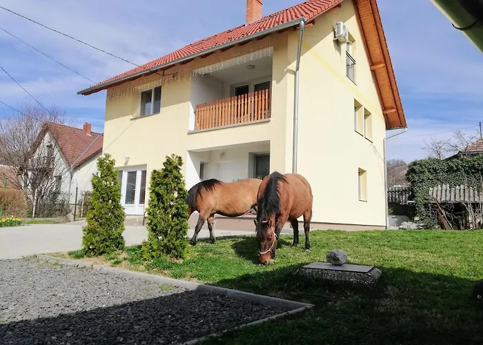 Lótuszvirág 3*